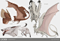 Caskin Studies by beastofoblivion