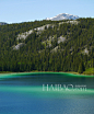 加拿大优鹤国家森林公园 (Yoho National Park) ，翡翠湖

美丽迷人的翡翠湖是加拿大优鹤国家森林公园内最大的湖泊，在不同的光线强度下，湖水会呈现深浅不同的绿色，翡翠湖也因此被誉为“洛基山的翡翠”。 #美景#