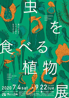 不落风采集到蕨