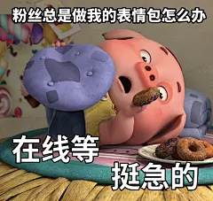 豆豆猪表情包：粉丝们总是做我的表情包怎么办？挺急的，在线等！01