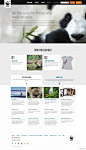 WWF世界自然基金会官网网站页面设计 [5P] (4).jpg