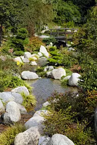 河床,垂直画幅,禅宗,灵感,无人,spa美容,野生动物保护,伊甸园,夏天,完美