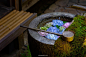 Sony α7II + FE 24-105mm F4 G OSS