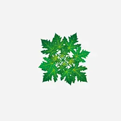 绿色的树叶树顶高清素材 免费下载 页面网页 平面电商 创意素材 png素材