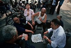 短尾矮袋鼠_采集到剧照