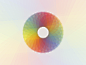 Dribbble - Colour Wheel by Dan O'Prey