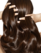 HAIR-PNA01-114_v4_R5_French.jpg