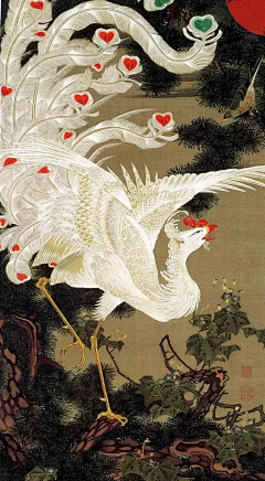 董帅辰采集到凤