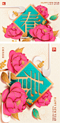 【春】2019年农历春节新年传统年画迎新矢量海报素材 :  