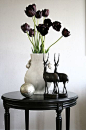 Black Tulips: 