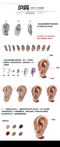 每周一课丨耳朵的画法，不同角度的耳朵该怎… | 半次元-二次元爱好者社区