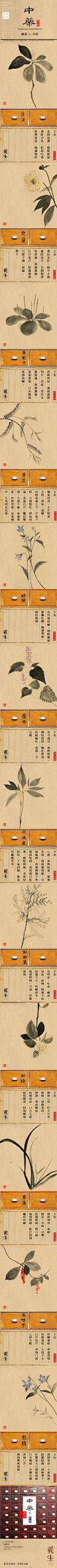 【微信公众号：xinwei-1991】整理分享   @辛未设计  ⇦点击了解更多 书籍封面设计书籍装帧设计封面版式设计封面排版设计海报排版设计文字版式设计书籍设计 (9705).png