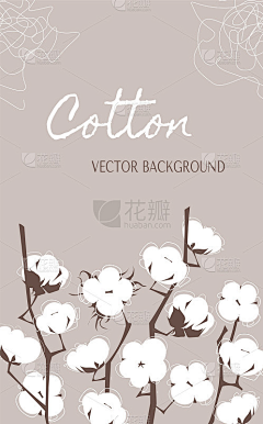 GSZXtroi采集到棉花