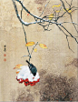 [转载]邹传安工笔花鸟画欣赏