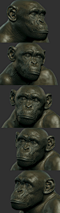Zbrush_ScreenShots_ZB.jpg