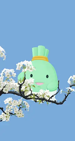 手机壁纸（梨花花开版）