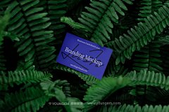 T恤海报名片纸杯模型丛林场景品牌展示设计贴图ps样机素材 5psd下载_颜格视觉