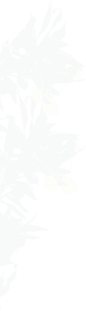 background-left