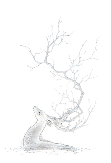 圣诞麋鹿免抠png透明装饰素材