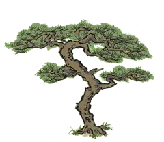 傲寒松树