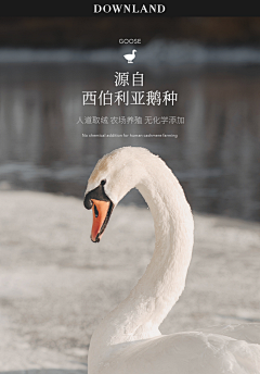 去打鱼的南方人采集到枕芯