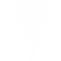 烟雾