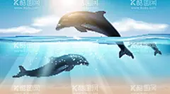 海豚  - 源文件下载【酷图网】海豚,矢量海豚,卡通海豚,手绘海豚,海豚插画,海豚插图,海豚跳跃,可爱海豚,黑色海豚,光感,光效,光线,光晕,光影,光束,阳光,蓝天,白云,云朵,太阳,海水,大海,大海元素,大海素材,水纹,水面,波纹,海景,海底,水底,水下,戏水,矢量海洋生物,卡通海洋生物,手绘海洋生物,海洋生物插画