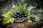Currant... by Артём Плугатаренко on 500px