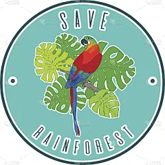 拯救雨林海报模拟设计。向量金刚鹦鹉插图