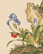 郎世宁的工笔画