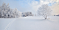Vitalii Verevkin在 500px 上的照片Winter landscape, lonely tree on a snow field