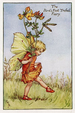 爱画画的小呆毛采集到Cicely Mary Barker