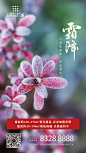 171023霜降节气飞机稿-01