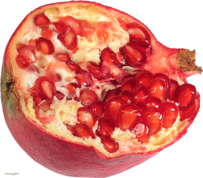 PNG 红石榴 (12)