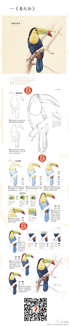 宁有微风带小雨采集到手绘