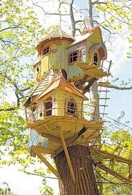 Beautiful Treehouse ...