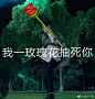 #镇魂女孩强势回归##镇魂女孩表情包交流大会#哈哈哈哈哈哈哈哈镇魂女孩C位出道表情包称霸新浪！//@放下我的叽小萌:你是要笑死我好继承我的表情包吧！ #镇魂女孩强势回归# #镇魂女孩表情包交流大会# 查看图片