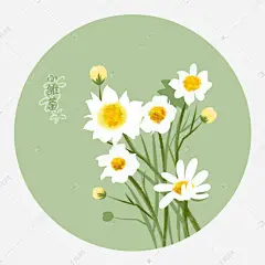 小雏菊 插画_百度图片搜索