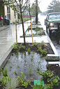 Stormwater planters are structural landscaped reservoirs used to collect, filter, and/or infiltrate stormwater runoff, allowing pollutants to settle and filter out as the water percolates through the planter soil before infiltrating into the ground below 