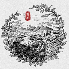 手绘版画｜茶叶包装插画 - 小红书