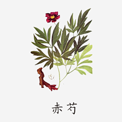 湖饮采集到素材