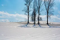 冰雪融化的原野和野生动物的足迹