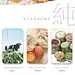 设计QQ群 282800528  曲奇饼干  天猫 首页装修 设计 食品 淘宝装修 淘宝首页 排版 高端首页 品质 品牌包装 电商设计 详情页 tearjoker原创