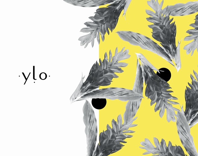 Ylo - Brand identity...