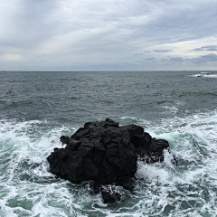 垝琟采集到海溟。
