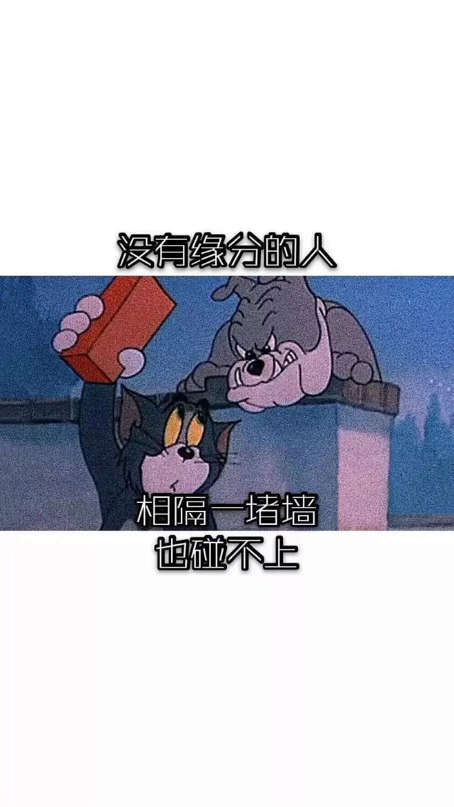 爱思壁纸