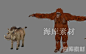 3D写实动物模型库 3Dmax动物模型 狮子老虎大象模型70个动画素