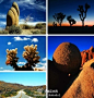 #DUBUDU商务男包#【约书亚树国家公园（Joshua Tree National Park）】约书亚树国家公园坐落于美国加利福尼亚南部，她是一个不为人知的国家公园，但日落景色却辉煌壮丽。此国家公园以沙漠巨石阵和奇特的沙漠植物为特色。如果你对她们感兴趣就别错过这么独特的景点吧~欢迎关注微信：DubuduChina #景点#