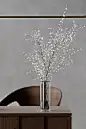 ANTARI SHOWROOM