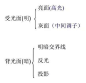 素描学习什么是三大面五大调